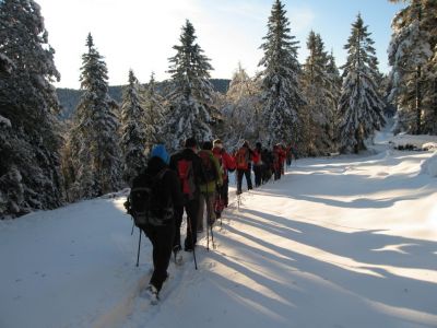 Kliknite za ogled večje slike
