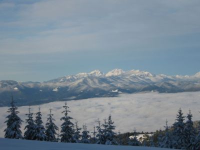 Kliknite za ogled večje slike