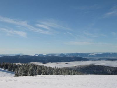 Kliknite za ogled večje slike