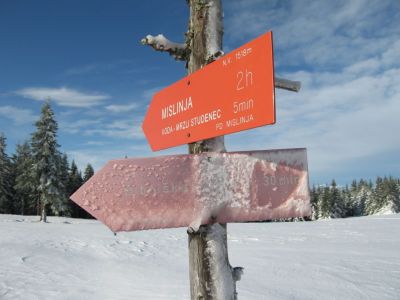 Kliknite za ogled večje slike
