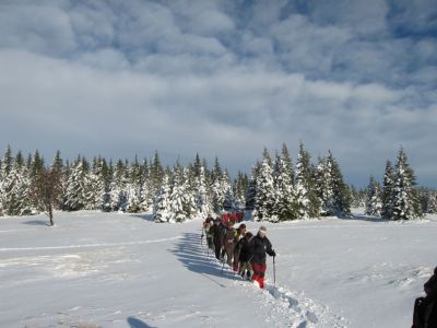 Kliknite za ogled večje slike