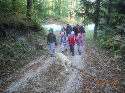 Kliknite za ogled večje slike