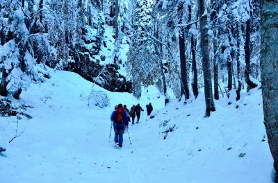 Kliknite za ogled večje slike