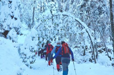 Kliknite za ogled večje slike