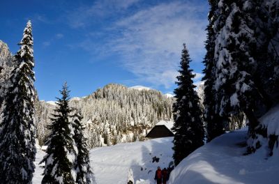 Kliknite za ogled večje slike