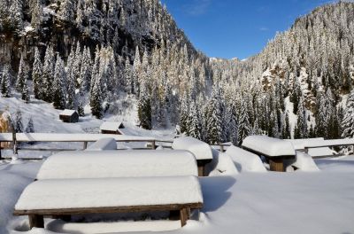 Kliknite za ogled večje slike