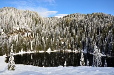 Kliknite za ogled večje slike
