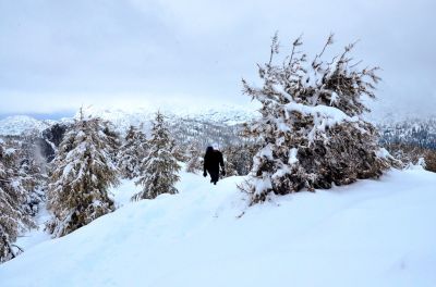 Kliknite za ogled večje slike