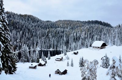 Kliknite za ogled večje slike