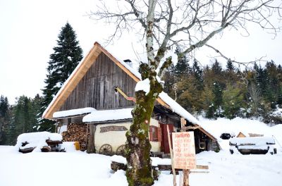 Kliknite za ogled večje slike