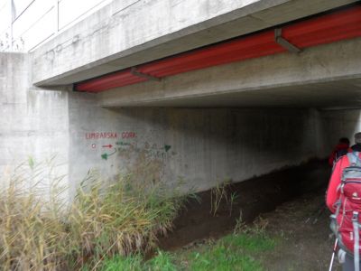 Kliknite za ogled večje slike