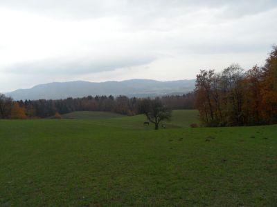 Kliknite za ogled večje slike