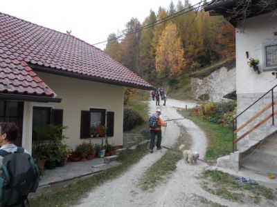 Kliknite za ogled večje slike