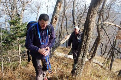 Kliknite za ogled večje slike