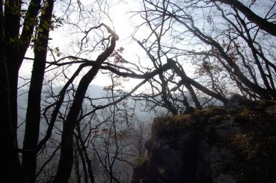 Kliknite za ogled večje slike