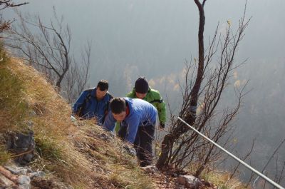 Kliknite za ogled večje slike
