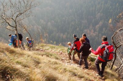 Kliknite za ogled večje slike