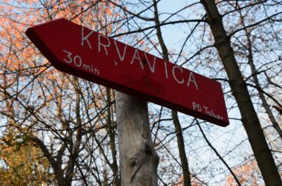 Kliknite za ogled večje slike