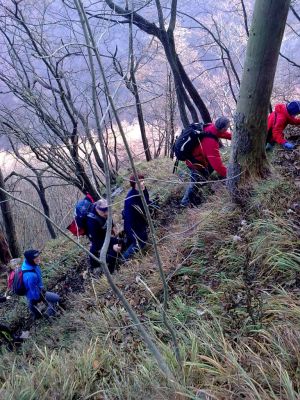 Kliknite za ogled večje slike