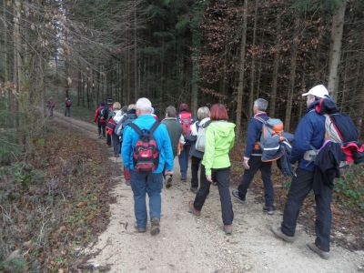 Kliknite za ogled večje slike