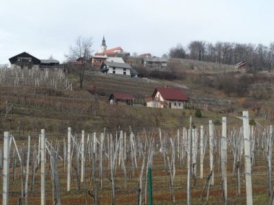 Kliknite za ogled večje slike