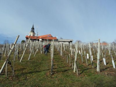 Kliknite za ogled večje slike
