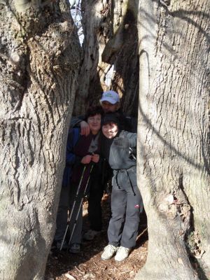 Kliknite za ogled večje slike