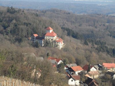 Kliknite za ogled večje slike