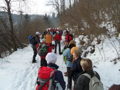 Kliknite za ogled večje slike
