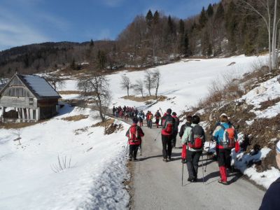 Kliknite za ogled večje slike