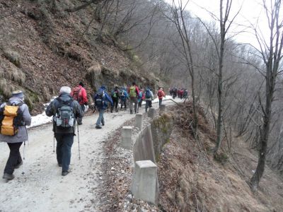 Kliknite za ogled večje slike