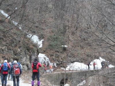 Kliknite za ogled večje slike
