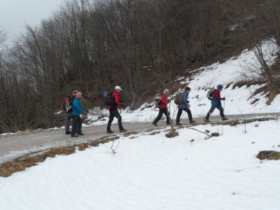 Kliknite za ogled večje slike
