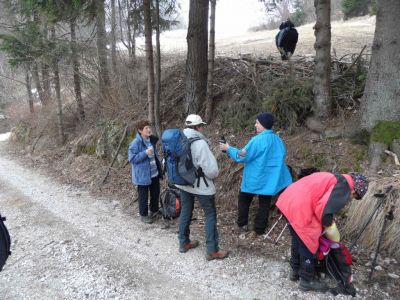 Kliknite za ogled večje slike