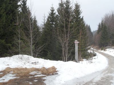 Kliknite za ogled večje slike