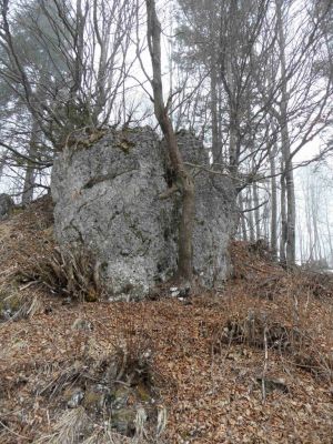 Kliknite za ogled večje slike