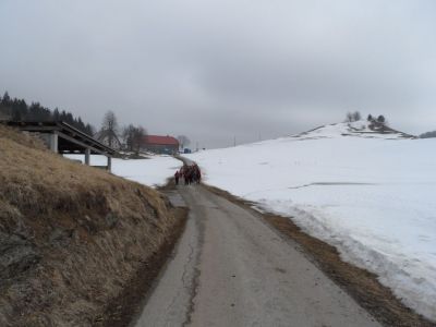 Kliknite za ogled večje slike