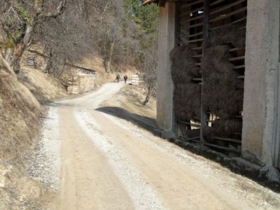 Kliknite za ogled večje slike