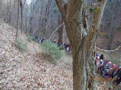 Kliknite za ogled večje slike