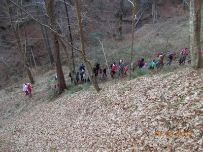 Kliknite za ogled večje slike