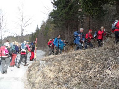 Kliknite za ogled večje slike