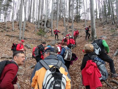 Kliknite za ogled večje slike