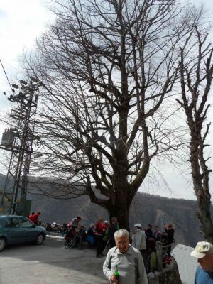 Kliknite za ogled večje slike