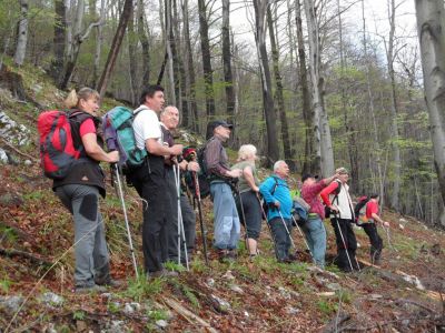 Kliknite za ogled večje slike