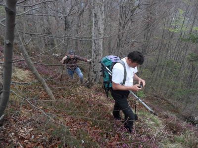 Kliknite za ogled večje slike