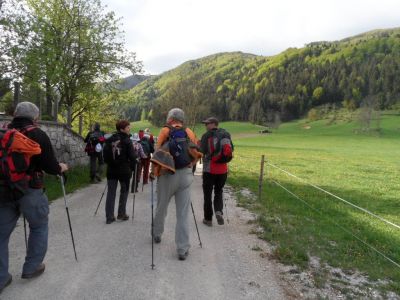 Kliknite za ogled večje slike