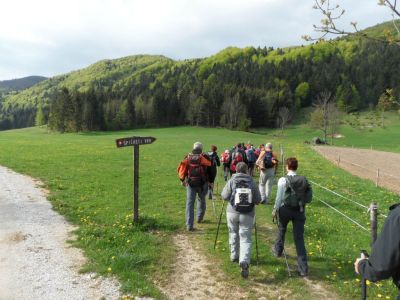 Kliknite za ogled večje slike