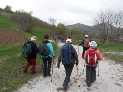 Kliknite za ogled večje slike