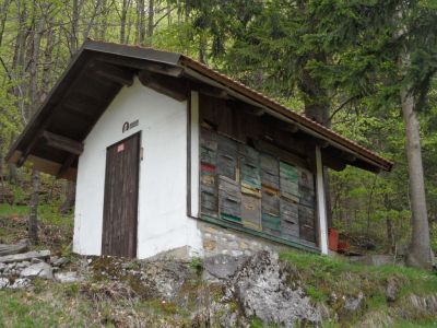 Kliknite za ogled večje slike
