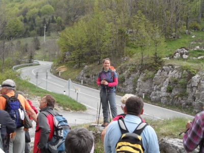 Kliknite za ogled večje slike